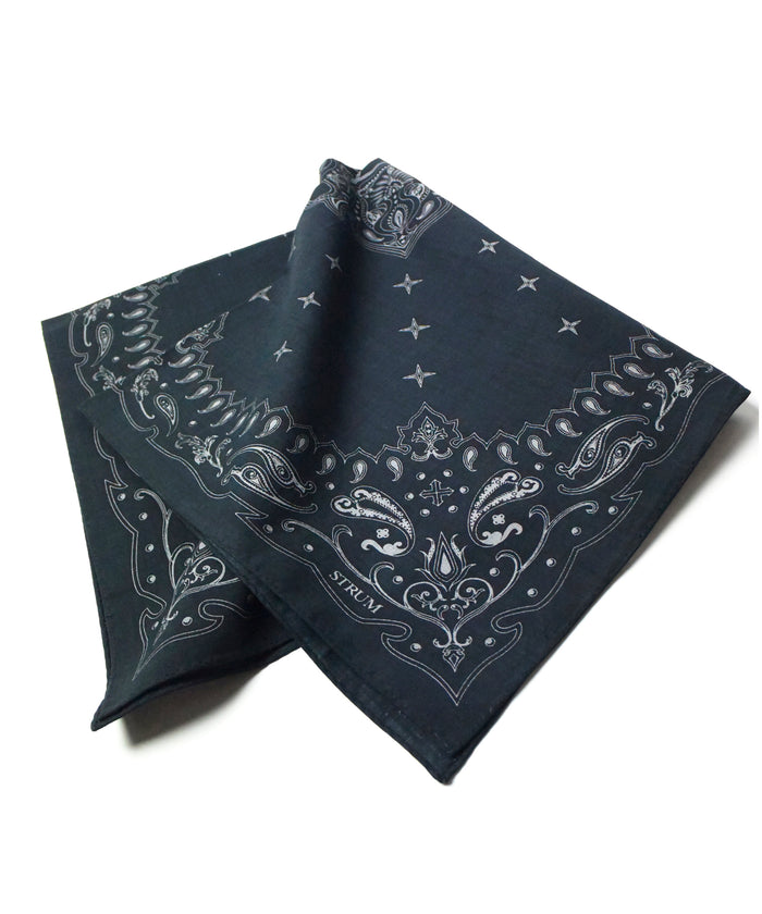 Silk Cotton Bandana